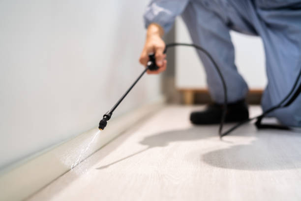 Professional exterminator conducting IPM assessment in Denison